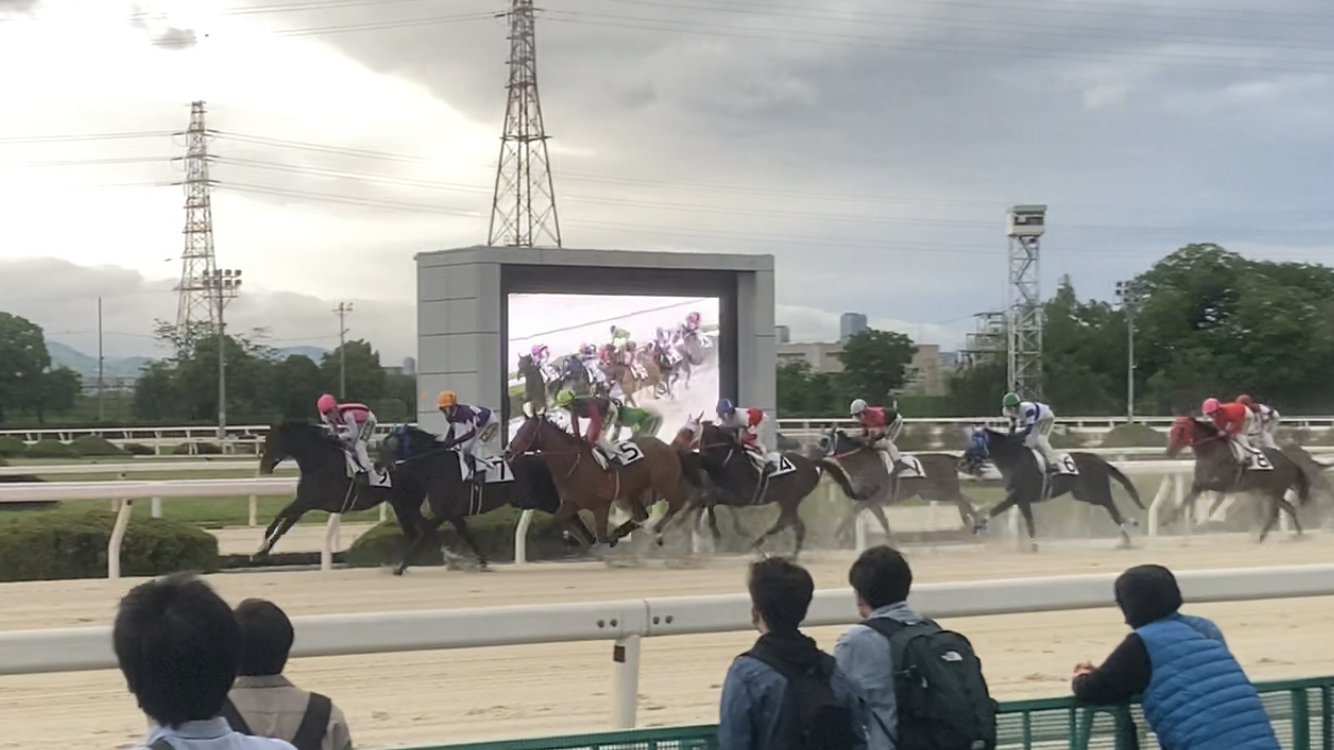 全国競馬場巡り21 – 園田競馬場のアクセスと特徴 - めろぐ